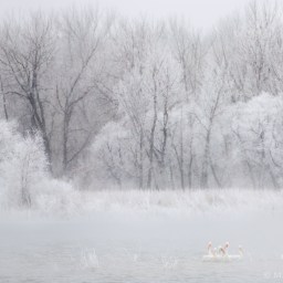 Psalm 40: In My Own Words