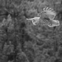 The Archer: Part I – Aim To Achieve