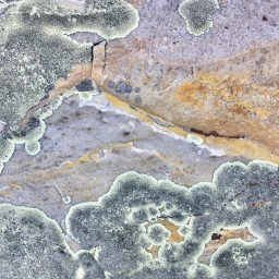 A Meditation on Psalm 6 Unpacked