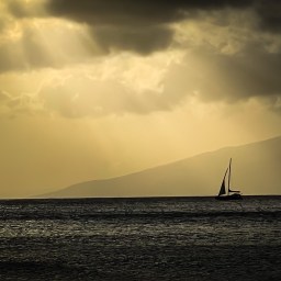 Colossal Mess or Miracle?