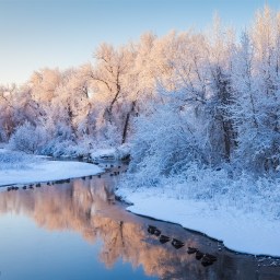 Finding The Warmth of Good King Wenceslas