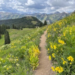 Life Is A Highway, Or Maybe It Isn’t